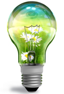 Energiesparlampe Energiesparlampe